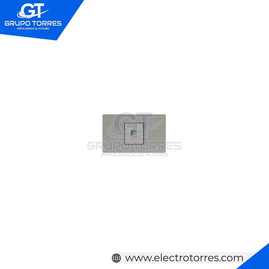 TOMACORRIENTE INTERNET PLOMO