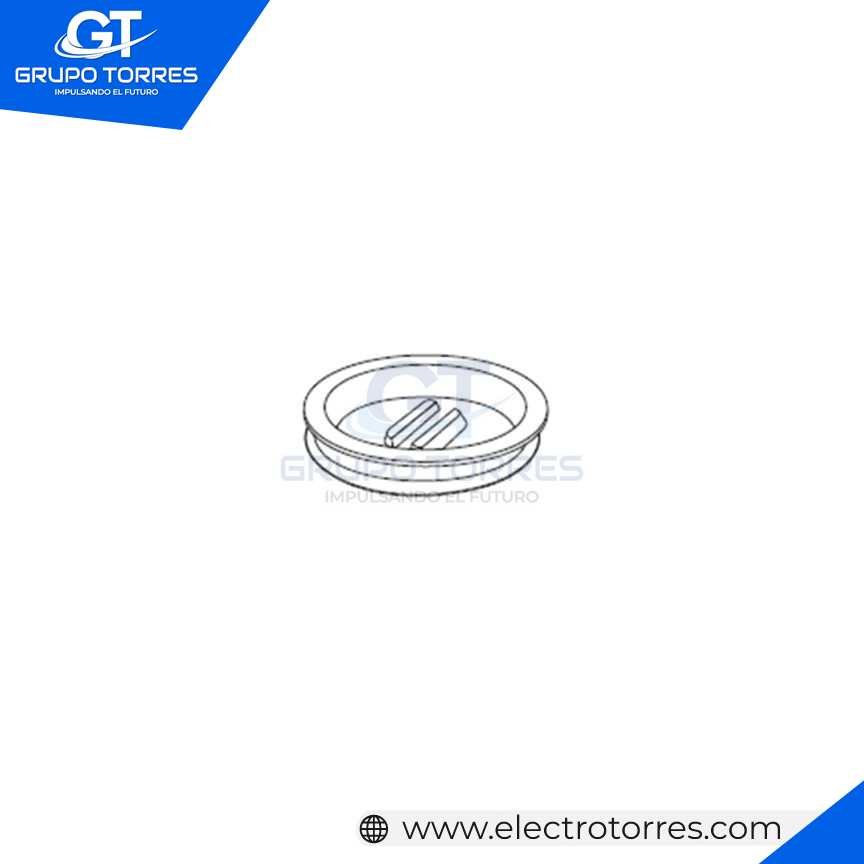 TAPON ROSCADO P/CAJA COND.RECTANGULAR.
